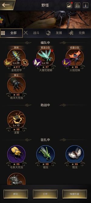 小小蚁国【1级VIP0战力1】11星虎甲
