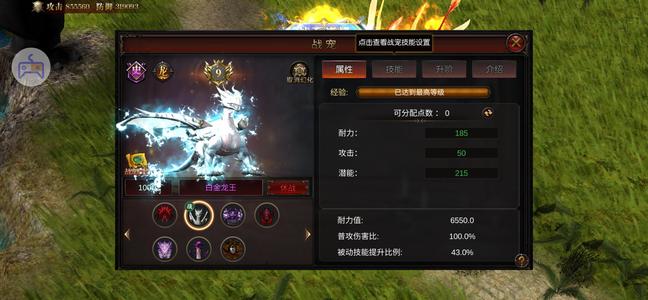 暗夜奇迹【786级】出暗夜113服绝对养老号