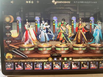 乱世逐鹿：风起三国【88级】冠名号400多亿