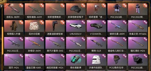 绝地求生（PUBG）俩车，兰博基尼suv和轿跑