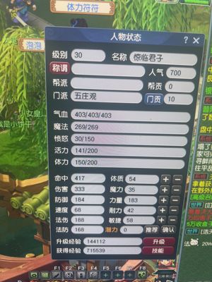 梦幻西游（端游）【30级五庄观.五庄观】紫禁之巅绿通180天号