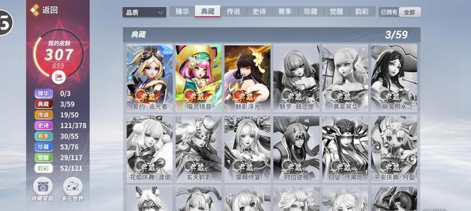 决战平安京307皮肤，3典藏，19传说