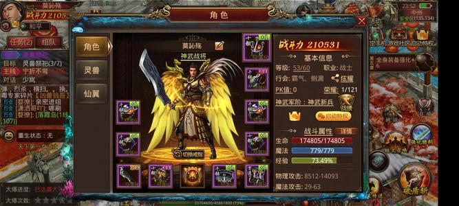 传奇世界手游【53级战士】极品大战士
