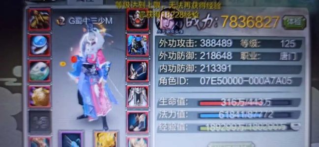 天龙八部3D【120级唐门】没时间玩了