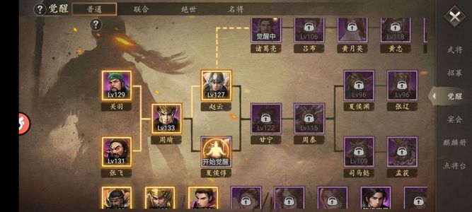 攻城掠地【蜀.蜀王.169级】8518服 看上带走