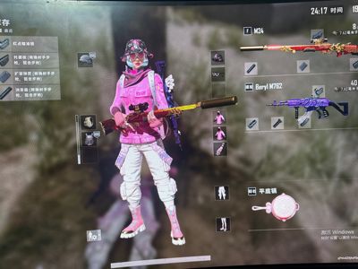 绝地求生（PUBG）7级M24  原皮加异色