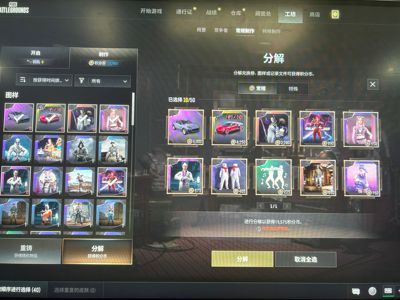绝地求生（PUBG）生存等级1 名誉等级2 成长武器1 究极 载具1 枪皮极品小号..