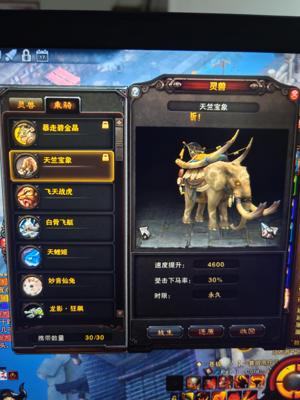 斗战神（端游）卡59十段幻甲齐天命格大象坐骑