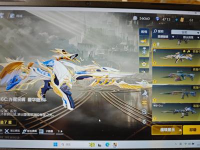 荒野行动PC版6把7级强满级，7钥匙绝版睡衣