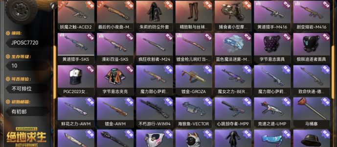 绝地求生（PUBG）生存等级10 名誉等级1 成长武器 究极 载具 枪皮升级皮11