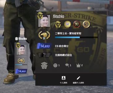 CSGO官匹优先账号十年老兵4牌子