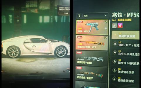 绝地求生（PUBG）成品布加迪双成长武器