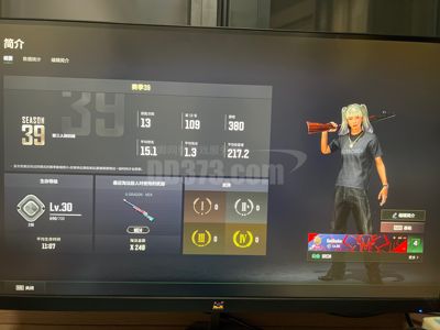 绝地求生（PUBG）绿布加迪6级ACE绿烟绿柏林