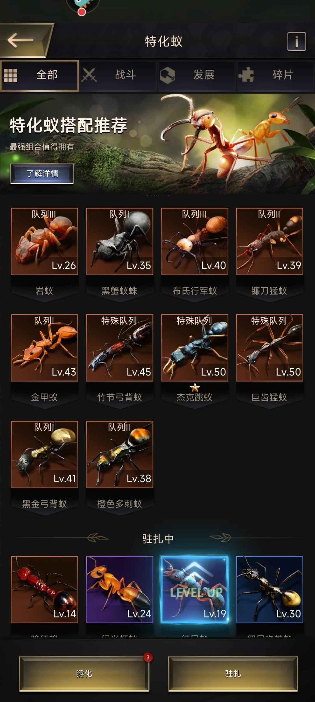 小小蚁国【22级】一千万战力，12金蚂蚁