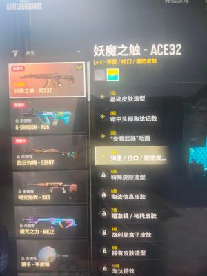 绝地求生（PUBG）4级异色妖魔ace，金面布加迪