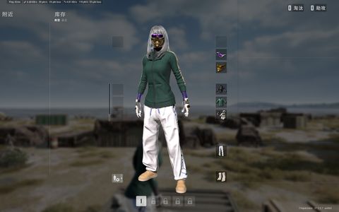 绝地求生（PUBG）二级ace带异色绿东滑雪镜金面