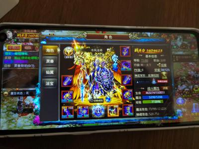 传奇世界手游70级，法师