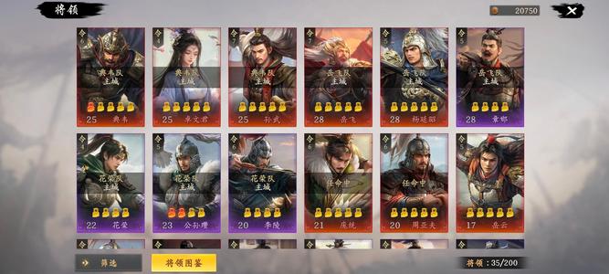 王于兴师【28级】最低价出售