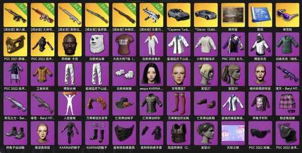 绝地求生（PUBG）6成长枪皮2跑车皮肤，诚心出！