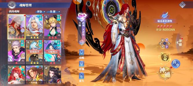 斗罗大陆：魂师对决【教习,51级】13天新区红5sp王林满配进度