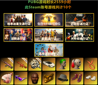 绝地求生（PUBG）已购保险，放心购买