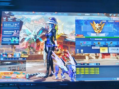 逆战爆破极品号啥都有带王者荣耀枪战