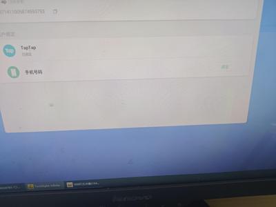 火炬之光：无限船长无绑定号，带两个自选