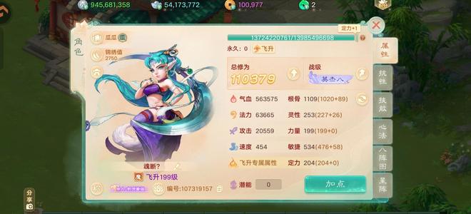 大话西游五级行天套