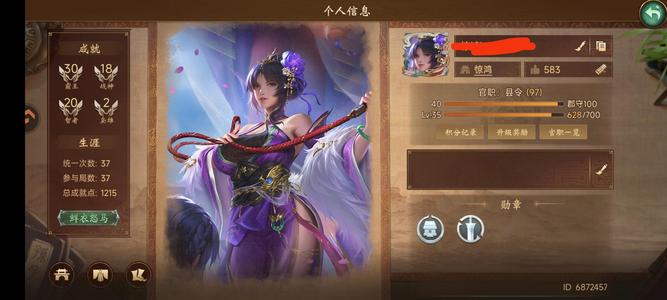 朕的江山连统城皮行军形象带国家