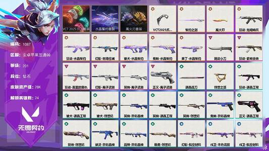 无畏契约：源能行动【201级】【英雄】：捷风，贤者，不死鸟