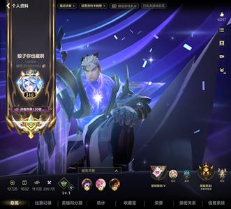 英雄联盟手游（lol手游）LOL手游628皮肤养老号