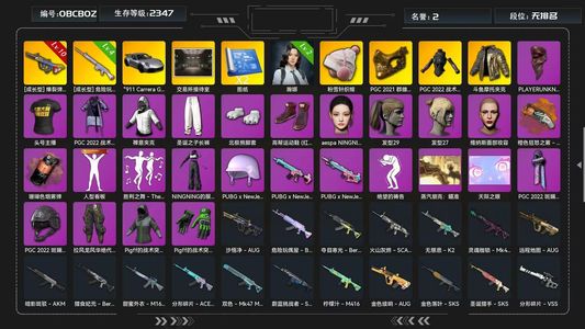 绝地求生（PUBG）满级弹珠911玩偶翰娜金面女团