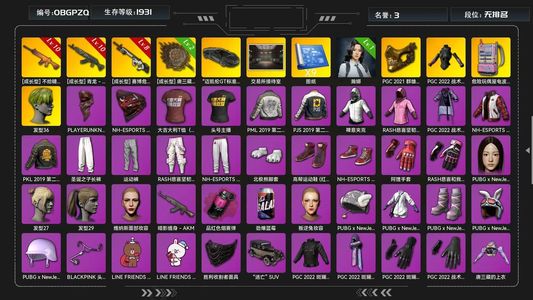 绝地求生（PUBG）满级青龙南瓜翰娜迈凯伦赛博金面