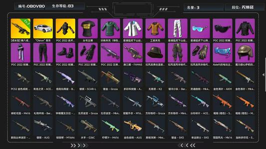 绝地求生（PUBG）3级八戒布加迪绿东黄东