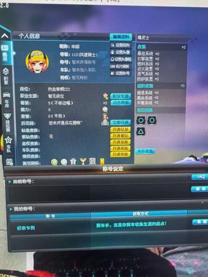 QQ飞车工作室小号1a1宠物