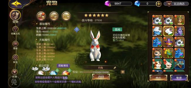 太极熊猫3：猎龙【170级星空幻舞】饮血装两百万坐骑自选号