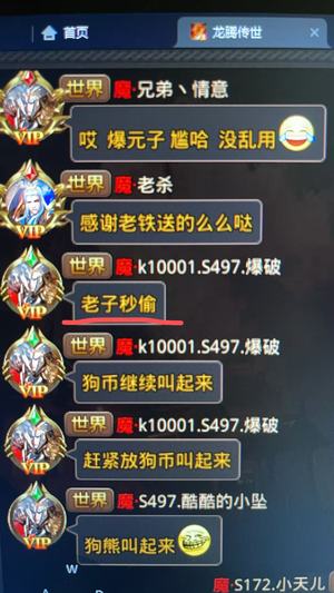 龙腾传世（贪玩传世）这傻鸟偷元宝自己承认了