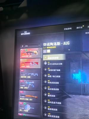 绝地求生（PUBG）带改名卡绿东黄东套2成长1烟