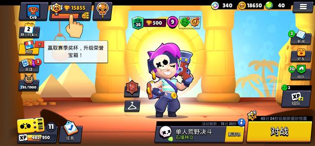 荒野乱斗（外服）28英雄8皮肤