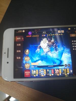 传奇世界3D【299级战士】第一大区，1.08亿大战士