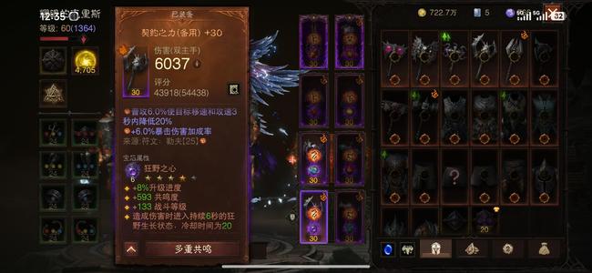 暗黑破坏神：不朽5星斗志5星嗜血