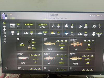 俄罗斯钓鱼4俄罗斯钓鱼4