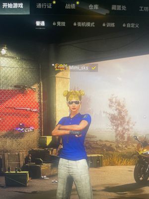 绝地求生（PUBG）自己玩的号