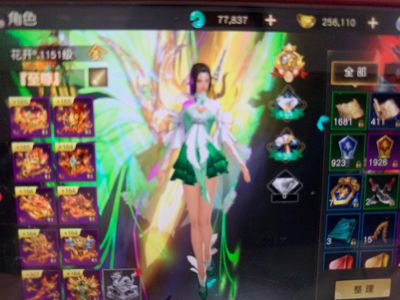 远征手游【1151级】出售游戏币