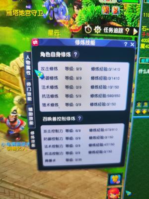 梦幻西游（端游）69满技能dt