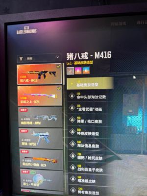 绝地求生（PUBG）生存等级20 名誉等级2 成长武器 究极 载具 枪皮八戒m4 彩虹m24抓紧秒