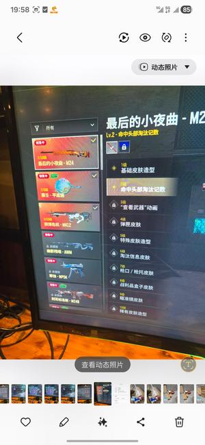 绝地求生（PUBG）三成长皮肤 5级mk12  