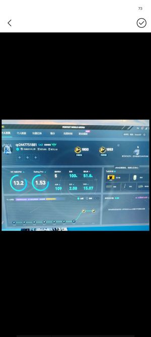 CSGO完美新赛季新号黄金b 