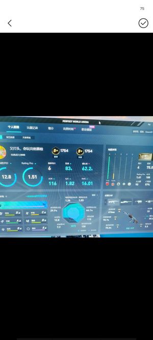 CSGO完美新赛季新号黄金b 