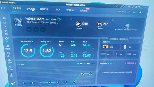 CSGO完美新赛季老兵号黄金b 